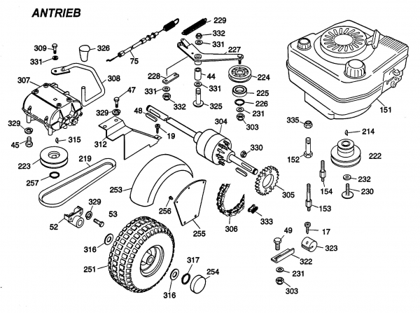 Ersatzteile WOLF-Garten  Cart OHV 2 Typ: 6190000 Serie B  (1999) Differential, Fahrantrieb, Motor 