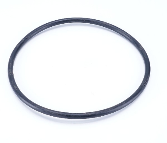 GARDENA Ersatzteile O-Ring 160x6,7