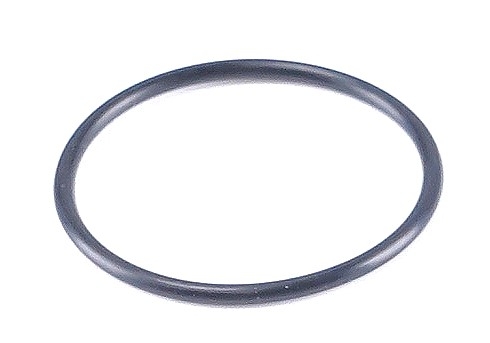 KÄRCHER Ersatzteile Hochdruckreiniger Xpert HD 7140 Plus *EU 1.514-147.0-A Geradschubfuehrung O-Ring 24,0 X 1,5