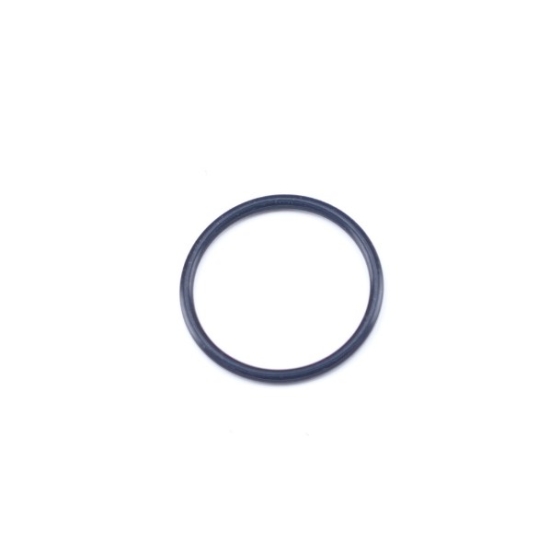 KÄRCHER Ersatzteile O-Ring 22 x 1,8