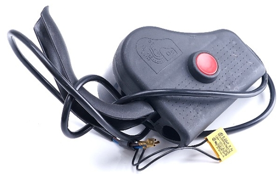 MTD Ersatzteile SCHALTER STECKER KOMBINATION
