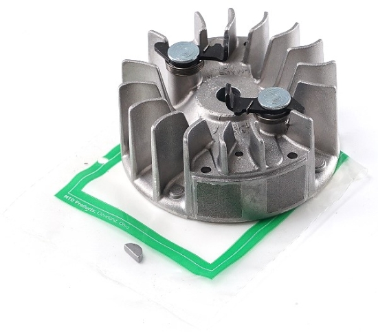 Ersatzteile Troy-Bilt Laubbläser, Laubsauger TB 310 QS Typ: 41ASGBVG609 (2005) Motor SCHWUNGRAD