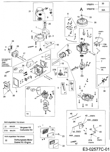 Ersatzteile MTD-Motoren Vertikal 1P65FW Typ: 752Z1P65FW  (2006) Motor