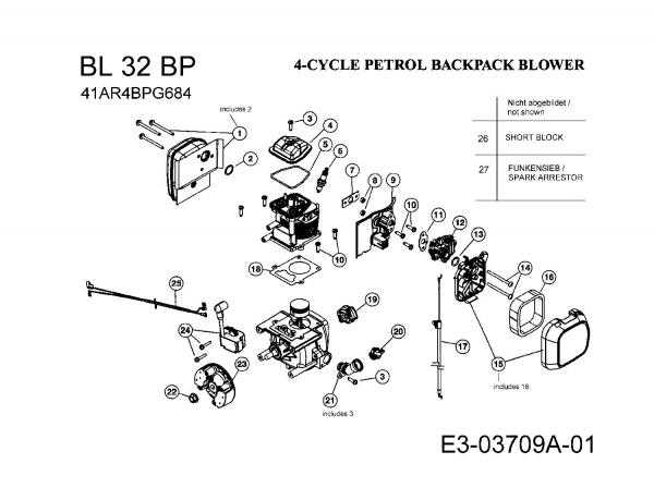 Ersatzteile Bolens Laubbläser, Laubsauger BL 32 BP Typ: 41AR4BPG684  (2008) Motor