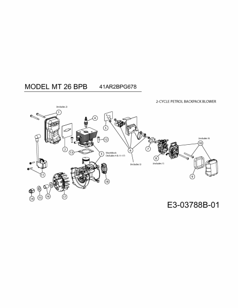 Ersatzteile MTD Laubbläser Laubsauger MT 26 BPB Typ: 41AR2BPG678  (2009) Motor 