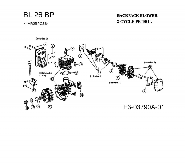 Ersatzteile Bolens Laubbläser, Laubsauger BL 26 BP Typ: 41AR2BPG684  (2008) Motor