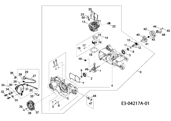 Cub Cadet Ersatzteile Motorkettensägen CC 4051 41AY651G603  (2008) Motor