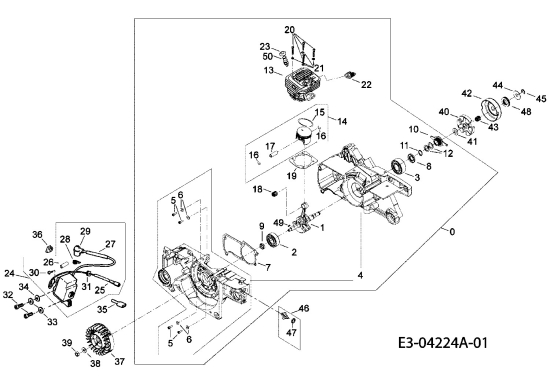 Cub Cadet Ersatzteile Motorkettensägen CC 4256 41AY656G603  (2008) Motor