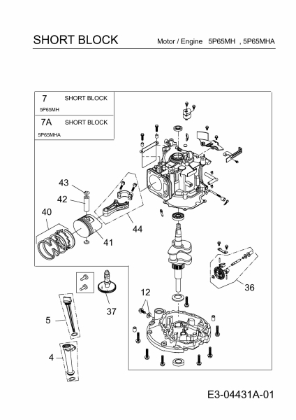 Ersatzteile MTD-Motoren Vertikal 5P65M0 Typ: 752Z5P65M0  (2008) Rumpfmotor