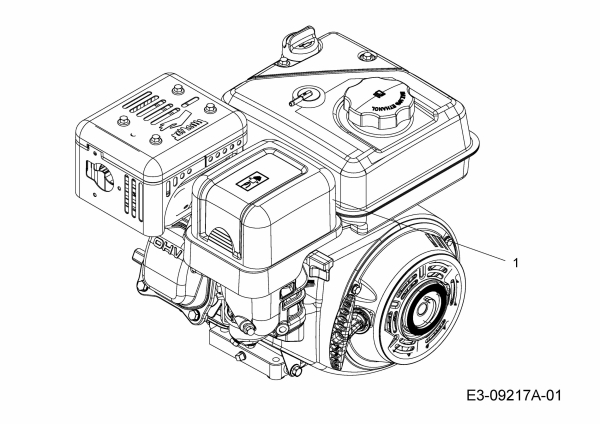 Cub Cadet Ersatzteile Motorhacken RT 45 21AA40M8710  (2017) Motor MTD