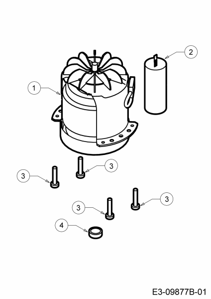 Ersatzteile WOLF-Garten Elektro Rasenmäher ohne Antrieb Expert 34 E Typ: 18BWF1S-650  (2020) Elektromotor 