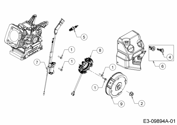 Ersatzteile MTD-Motoren Horizontal 670-WH Typ: 752Z670-WH  (2020) Schwungrad, Stoppschalter, Zündschlüssel, Zündung