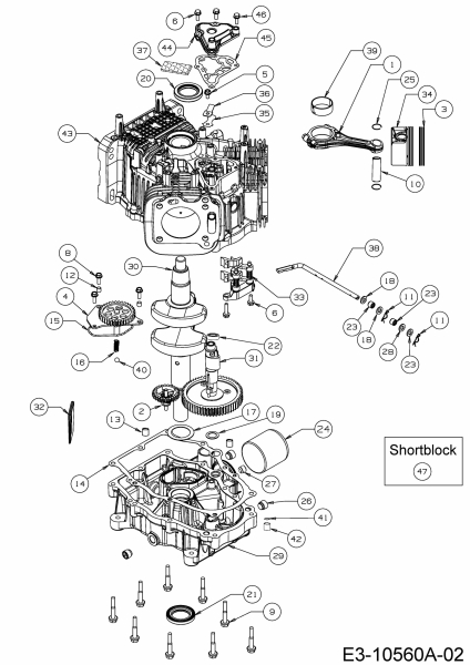 Ersatzteile MTD-Motoren Vertikal 9Q78HUB Typ: 752Z9Q78HUB (2020) Kolben, Kurbelwelle, Nockenwelle, Pleuel