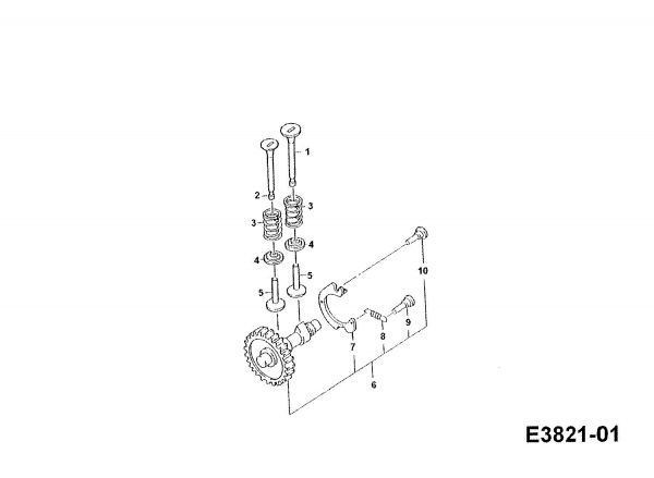 Cub Cadet Ersatzteile Einachser TWT 650 00026.06  (1997) Nockenwelle, Ventile