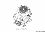 Ersatzteile Verts Loisirs Rasentraktoren VL 96 T Typ: 13B776KF617  (2021) Motor