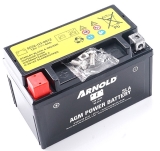 Ersatzteile MTD Rasentraktor Minirider 76 RDE Typ: 13B726SD600 (2021) Batterie  BATTERIE AGM 6AH