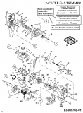 Ersatzteile MTD Motorsense 790 Typ: 41AD790G678  (2001) Motor 