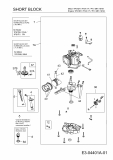 Ersatzteile MTD-Motoren Vertikal 1P61FHA Typ: 752Z1P61FHA  (2007) Rumpfmotor