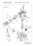 Ersatzteile MTD-Motoren Vertikal 5P70M0A Typ: 752Z5P70M0A  (2009) Rumpfmotor