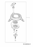 Ersatzteile MTD-Motoren Vertikal 1P61FHB Typ: 752Z1P61FHB  (2011) Reversierstarter