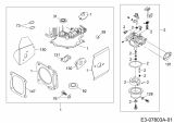 Ersatzteile MTD-Motoren Vertikal 1P65WHC Typ: 752Z1P65WHC  (2014) Motordichtsatz, Reparatursatz Vergaser
