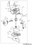 Ersatzteile MTD-Motoren Vertikal 5T65RH Typ: 752Z5T65RH  (2018) Rumpfmotor