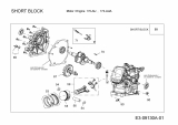 Ersatzteile MTD-Motoren Horizontal 170-AUA Typ: 752Z170-AUA  (2015) Rumpfmotor