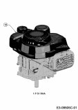 Cub Cadet Ersatzteile Motormäher LM1 AP46 11A-TQMG603 (2020) Motor