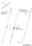 Cub Cadet Ersatzteile Motormäher mit Antrieb CC 53 SPC V 12BVQ5J3603 (2016) Bowdenzüge