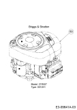 Cub Cadet Ersatzteile Motormäher mit Antrieb Wide Cut E 12AE764U603  (2017) Motor Briggs & Stratton