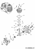 Ersatzteile MTD Motorsense 1033 AVS Typ: 41AD71XB678  (2019) Kurbelgehäuse, Motor, Zylinder 