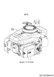 Cub Cadet Ersatzteile Motormäher LM2 DP46 11E-70JT603  (2017) Motor MTD