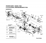 Ersatzteile MTD Motorsense 790 M Typ: 41DD79MC678  (2004) Motor 