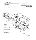 Ersatzteile MTD Motorsense 790 MAST Typ: 41ED79MC620  (2005) Motor 