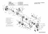 Ersatzteile MTD Motorsense 790 MAST Typ: 41HD79MC620  (2008) Motor 