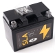 Cub Cadet Ersatzteile Gartentraktoren XT3 QS127 14AFA5TQ603 (2023) Batterie BATTERIE 11AH