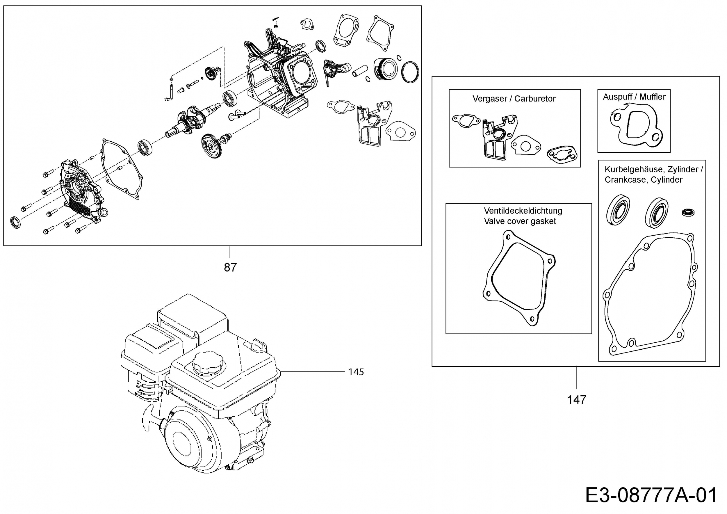 Ersatzteile MTD-Motoren Horizontal 170-DH Typ: 752Z170-DH (2014