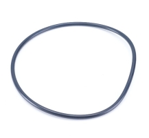 GARDENA Ersatzteile O-Ring 160x5,5