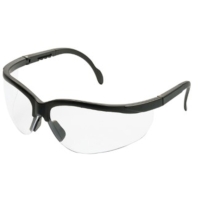 Arnold Ersatzteil ARNOLD Schutzbrille AZ124, klar einfach online kaufen.