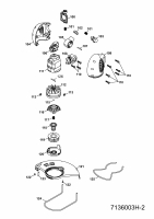 Ersatzteile WOLF-Garten Elektro Rasentrimmer GT 850 Typ: 7136003 Serie H  (2010) Elektromotor, Fadenspule 
