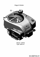 Cub Cadet Ersatzteile Motormäher mit Antrieb LM3 ER53ES 12ACPV9B603 (2018) Motor Briggs & Stratton
