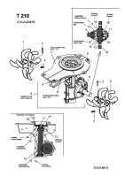 Ersatzteile MTD Motorhacke T 210 Typ: 21A-212A678  (2005) Getriebe, Hacksterne 
