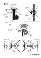Ersatzteile MTD Motorhacke T 250 Typ: 21A-252C678  (2005) Getriebe, Hacksterne 