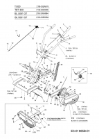 Ersatzteile MTD Motorhacke T 330/50 Typ: 21B-332A678  (2006) Holm 