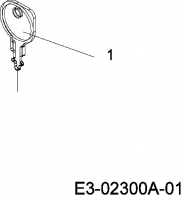 Ersatzteile Mastercut Rasentraktoren 130/92 RH Typ: 13D1452E657  (2007) Zündschlüssel