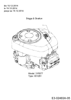 Cub Cadet Ersatzteile Rasentraktoren CC 1019 HN 13HJ91AN603  (2015) Motor Briggs & Stratton bis 15.12.2014