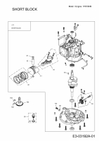 Ersatzteile MTD-Motoren Vertikal 1P61BHB Typ: 752Z1P61BHB  (2013) Rumpfmotor