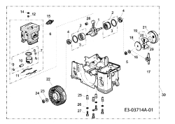 Cub Cadet Ersatzteile Motorkettensägen CC 1936 41AY635G603  (2009) Motor