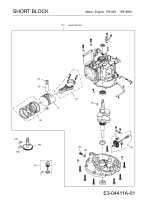 Ersatzteile MTD-Motoren Vertikal 1P61BHA Typ: 752Z1P61BHA  (2010) Rumpfmotor