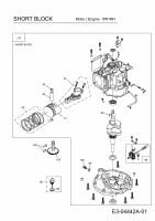 Ersatzteile MTD-Motoren Vertikal 1P61RH Typ: 752Z1P61RH  (2011) Rumpfmotor